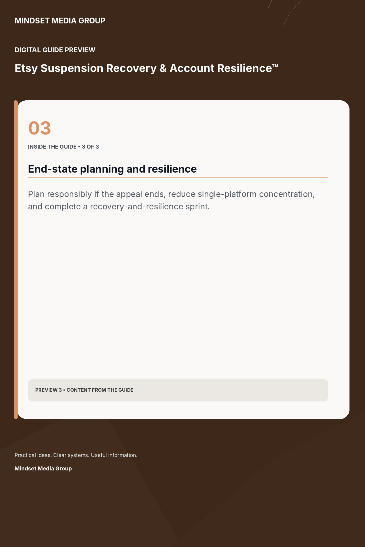 Etsy Suspension Recovery & Account Resilience™ — Preview 03 of 3 — content from the guide