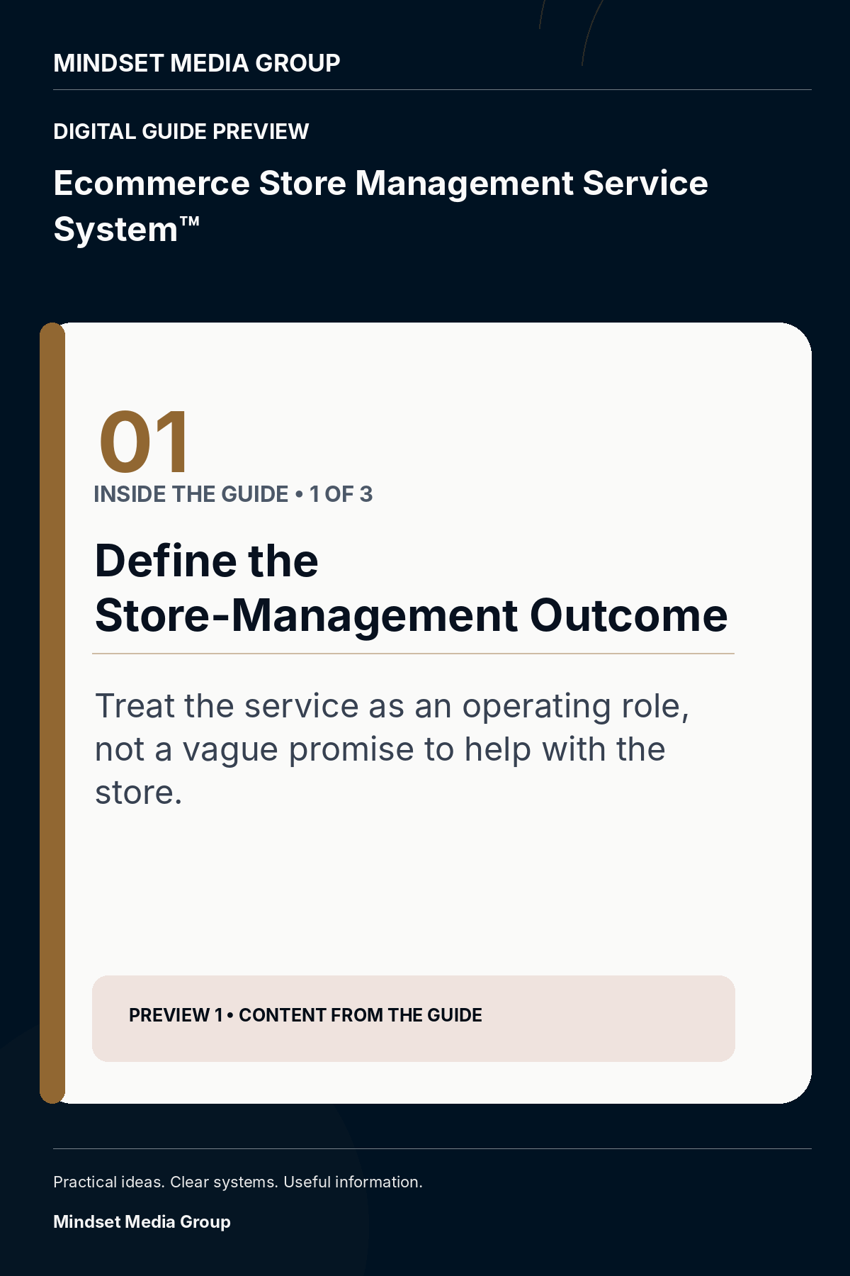 Ecommerce Store Management Service System™ — Preview 01 of 3 — content from the guide