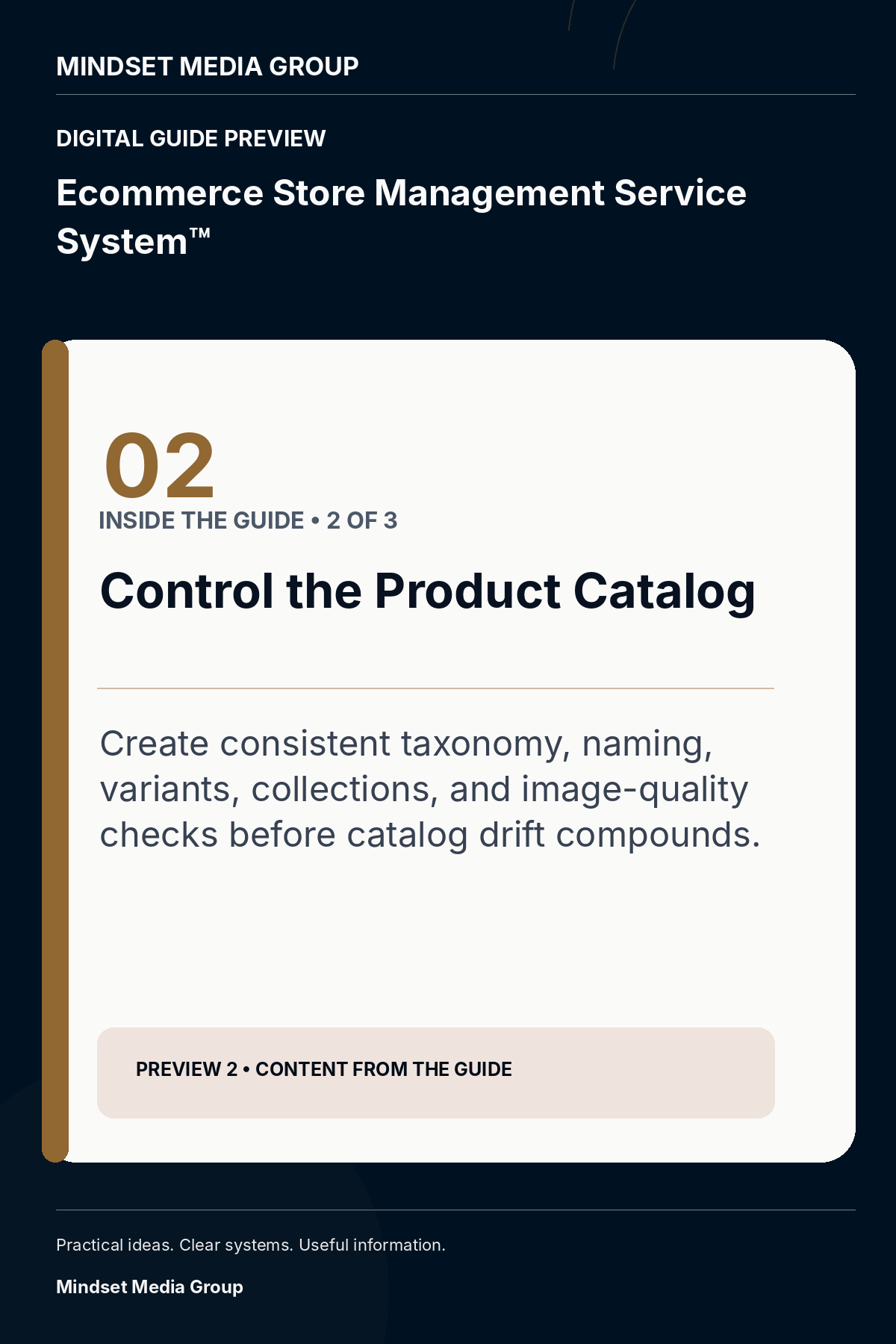 Ecommerce Store Management Service System™ — Preview 02 of 3 — content from the guide