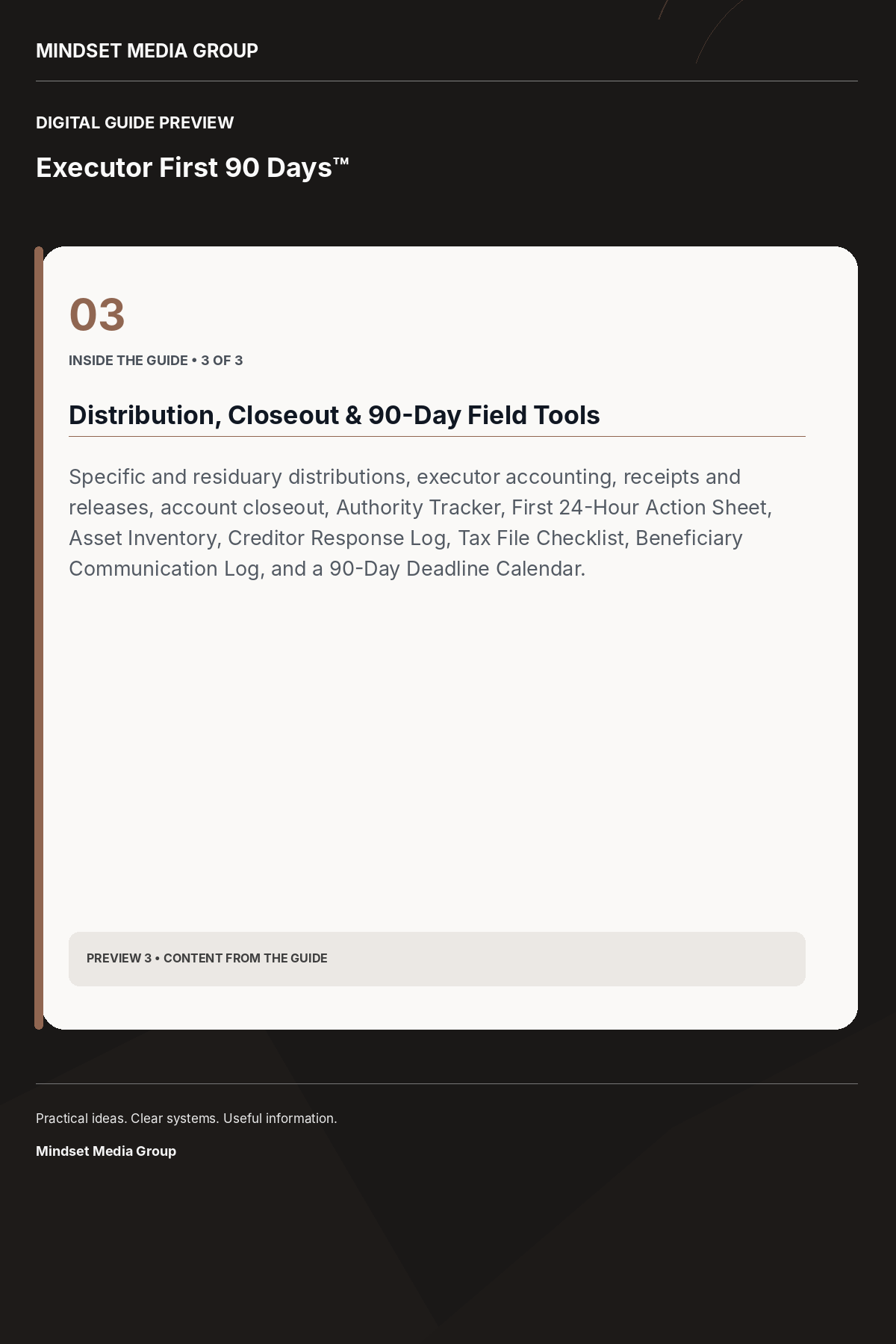 Executor First 90 Days™ — Preview 03 of 3 — content from the guide