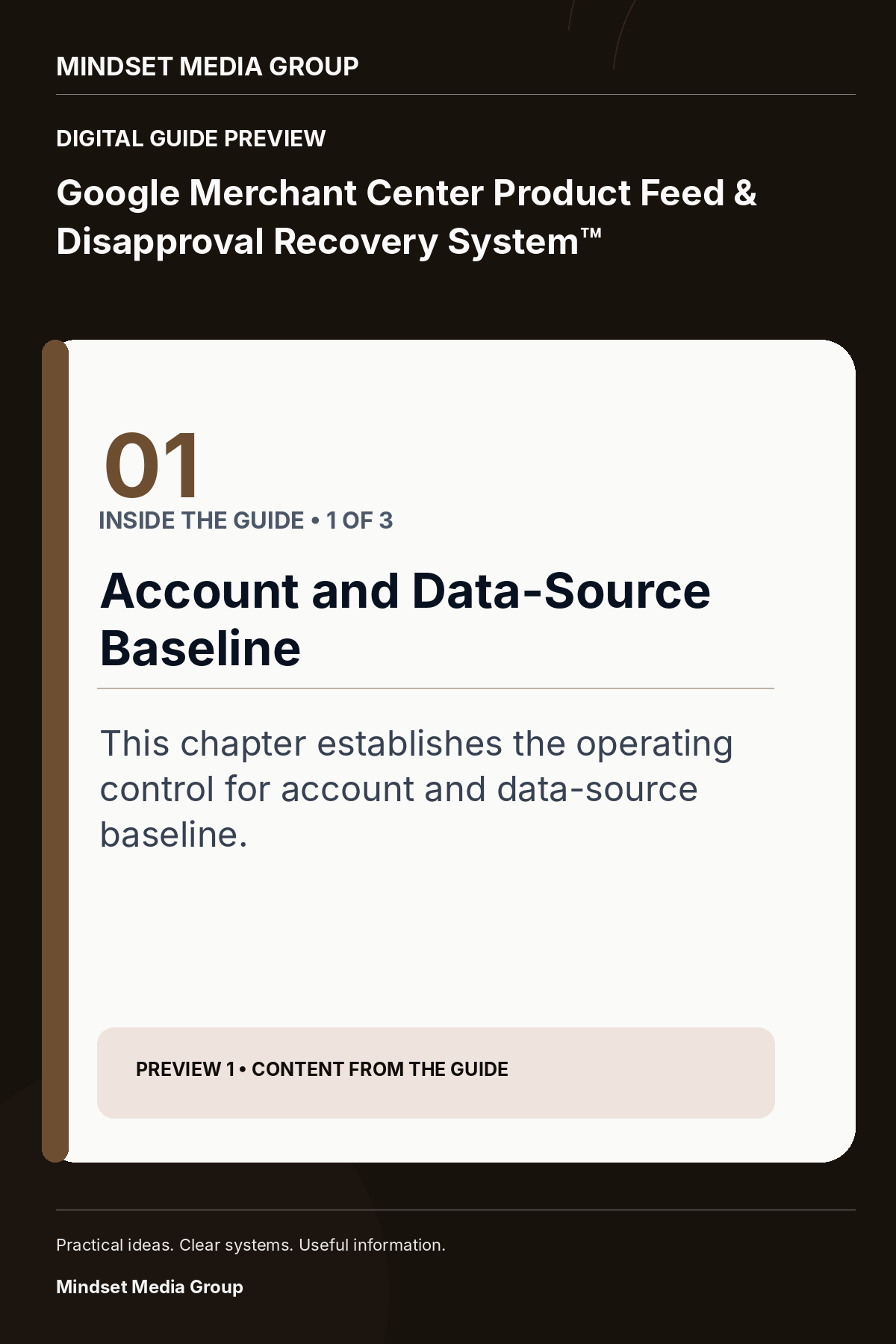 Google Merchant Center Product Feed & Disapproval Recovery System™ — Preview 01 of 3 — content from the guide