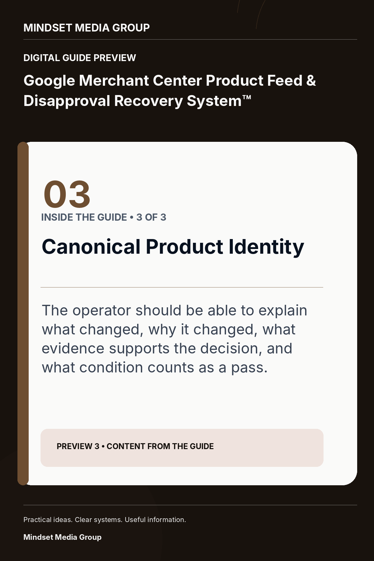 Google Merchant Center Product Feed & Disapproval Recovery System™ — Preview 03 of 3 — content from the guide