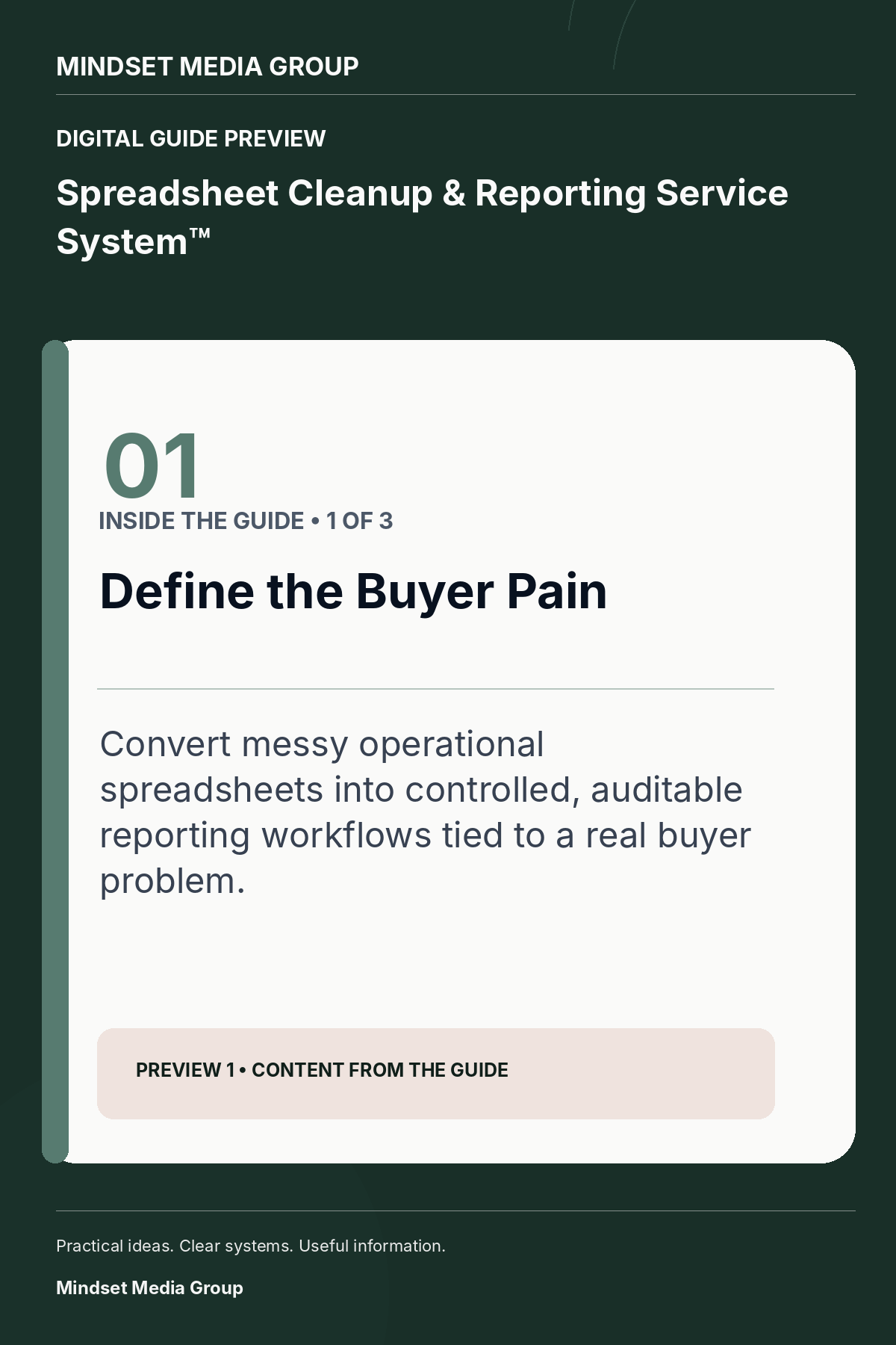 Spreadsheet Cleanup & Reporting Service System™ — Preview 01 of 3 — content from the guide