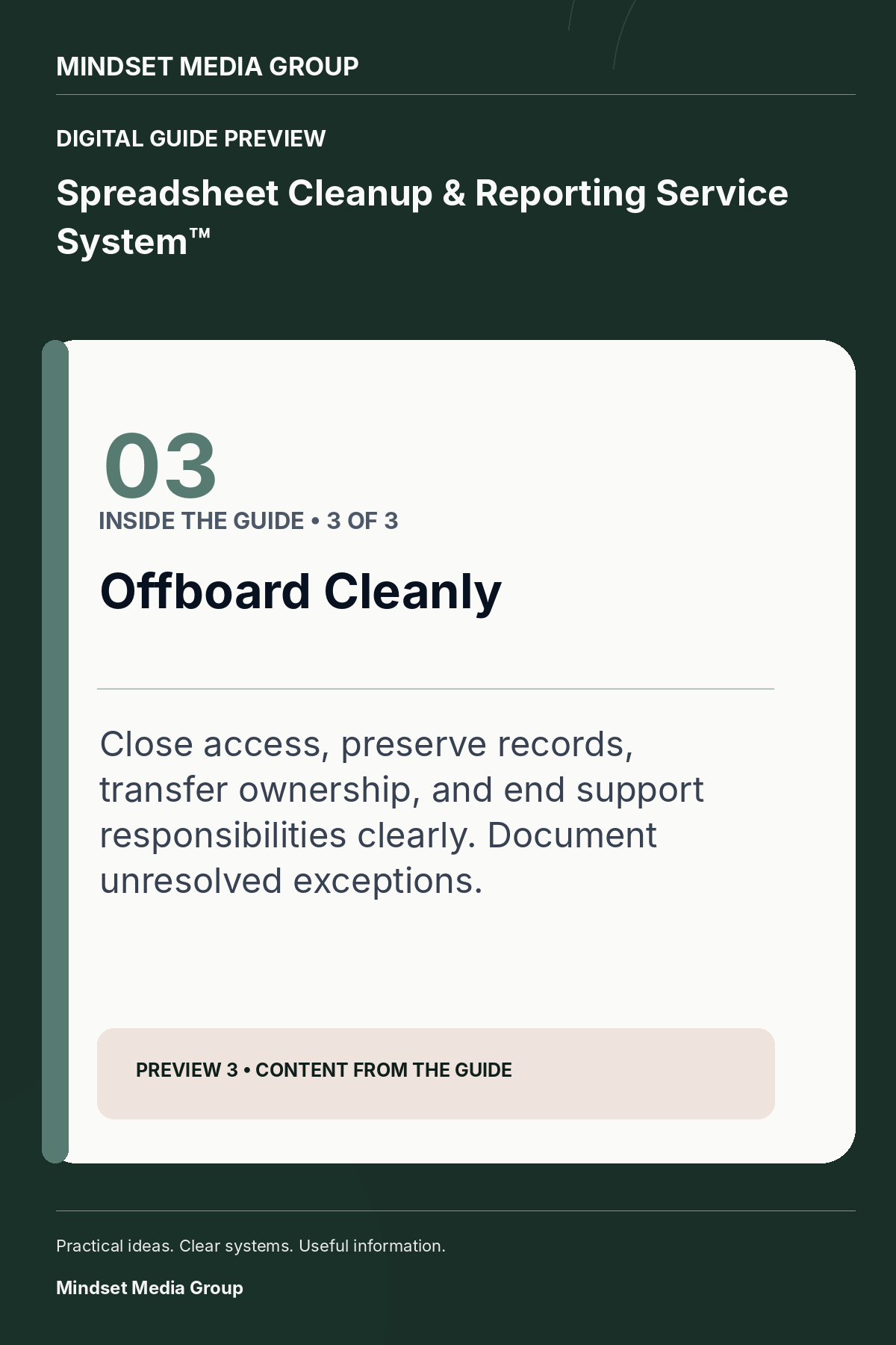 Spreadsheet Cleanup & Reporting Service System™ — Preview 03 of 3 — content from the guide